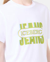 ICEBERG